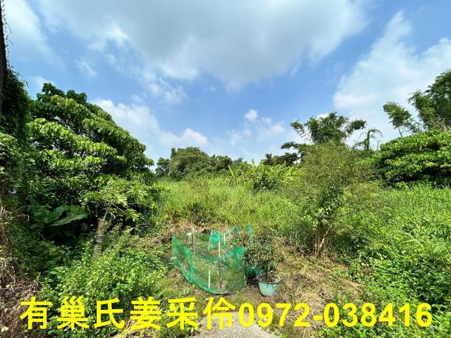 嘉義水上農地-1