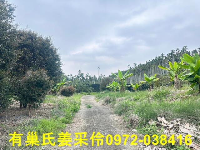 中埔農地-3