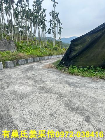 中埔農地-5