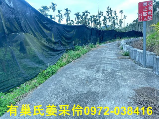 中埔農地-6