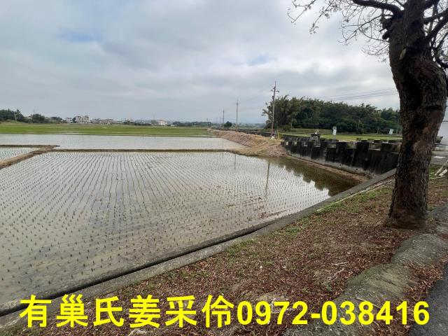 嘉義民雄農地-11