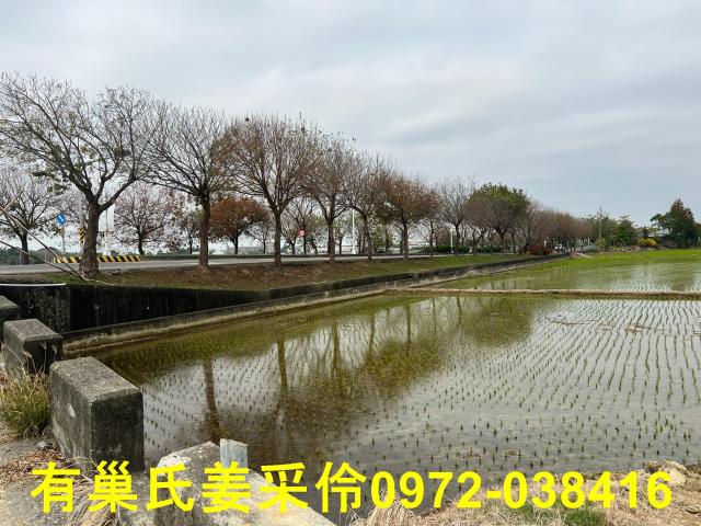 嘉義民雄農地-1