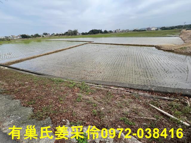 嘉義民雄農地-2