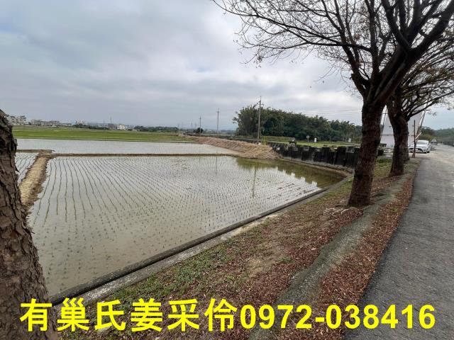 嘉義民雄農地-4