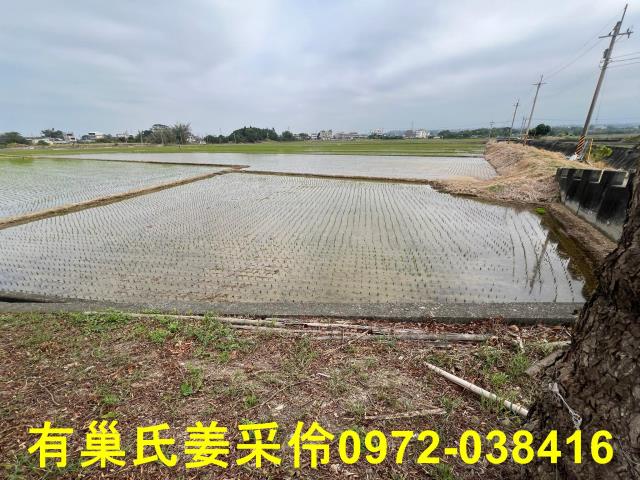 嘉義民雄農地-5
