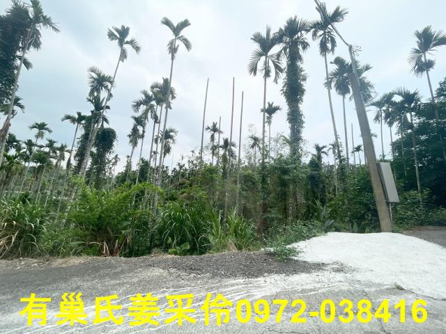 嘉義農地-9