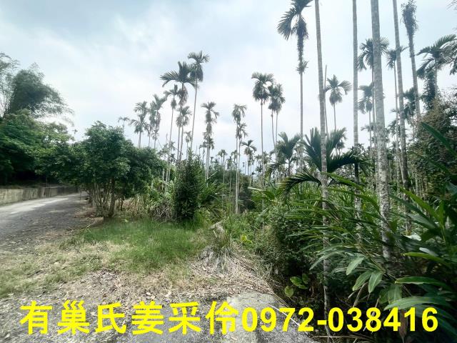 嘉義農地-5