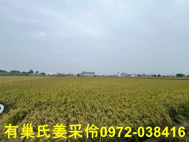 嘉義民雄農地-8