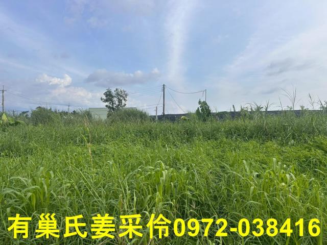 嘉義農地-9