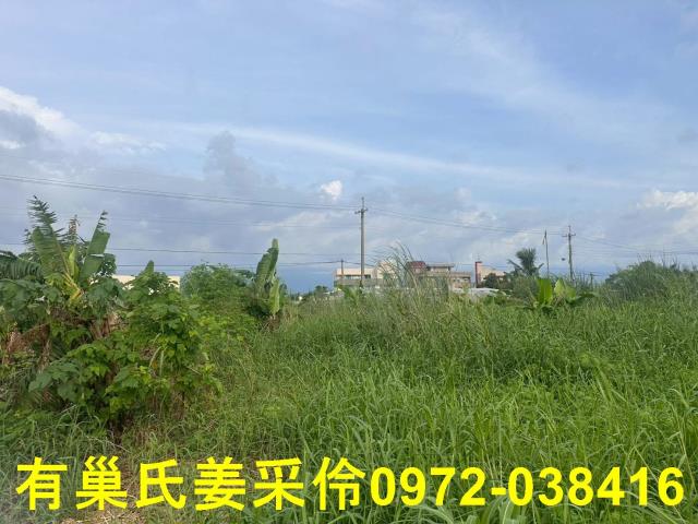 嘉義農地-10