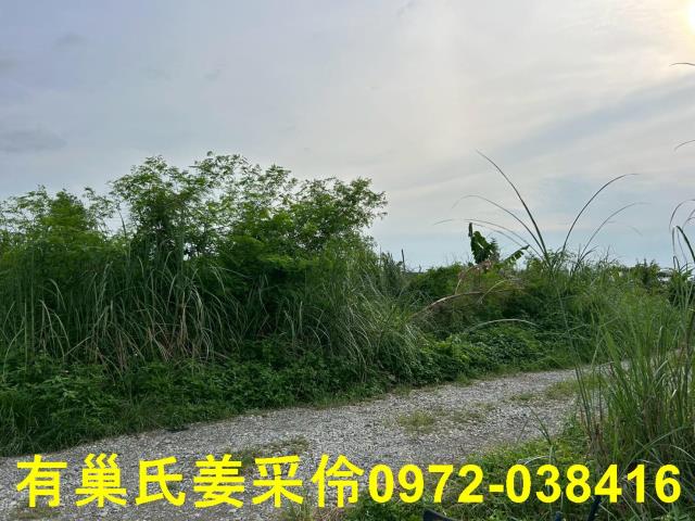 嘉義農地-5