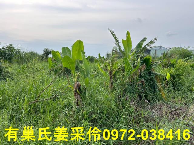 嘉義農地-6