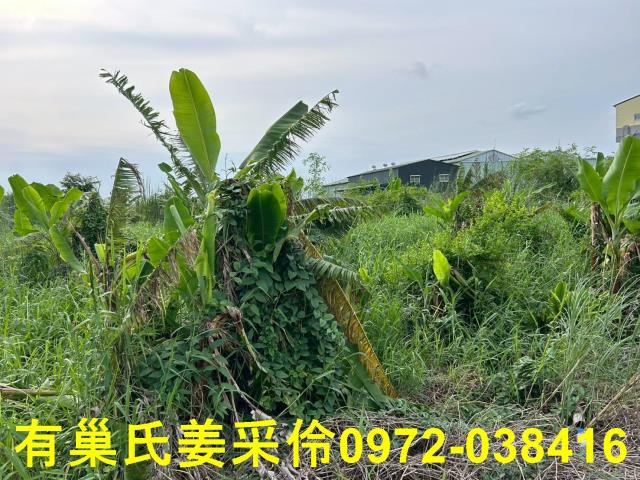 嘉義農地-7