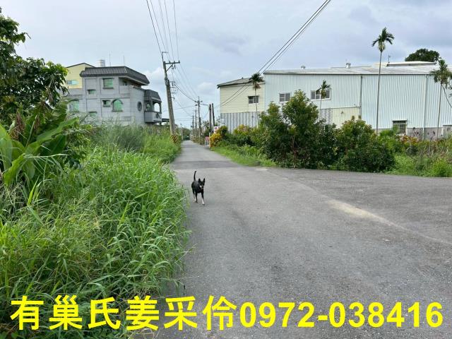 嘉義農地-8