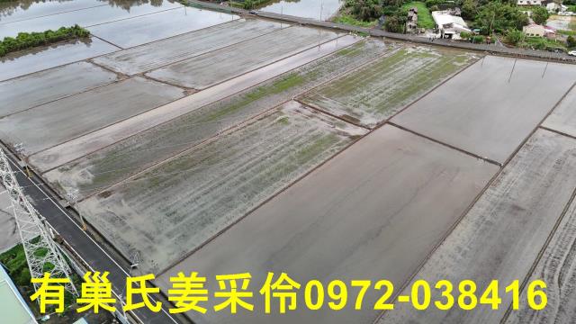 嘉義農地-9