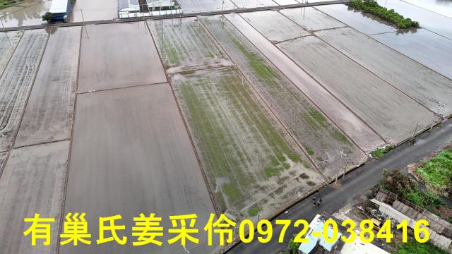 嘉義農地-11