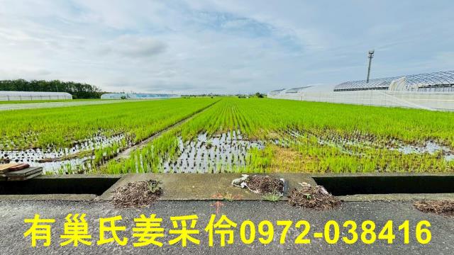 太保農地-0