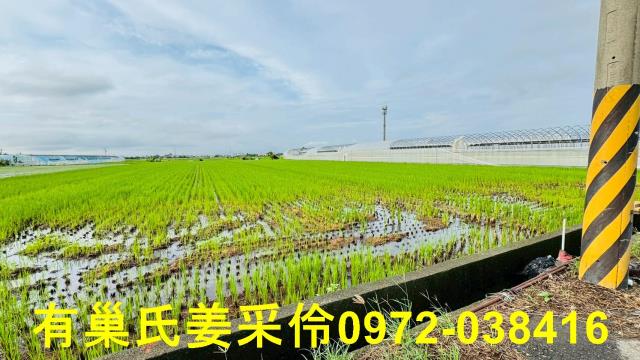 太保農地-5