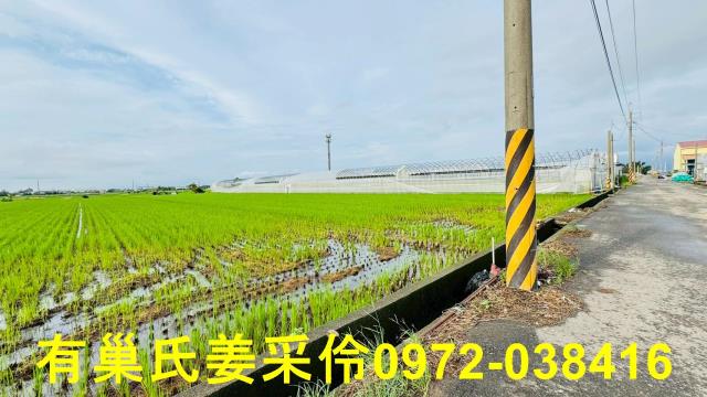 太保農地-6