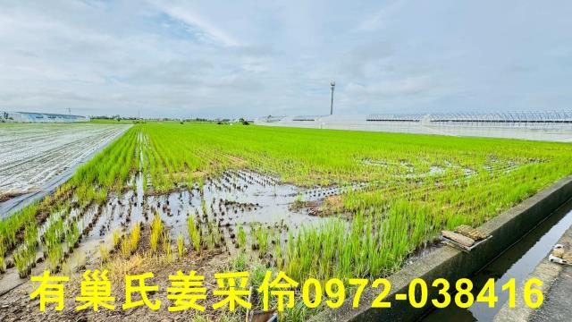 太保農地-7