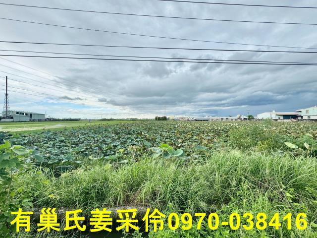 白河農地-9