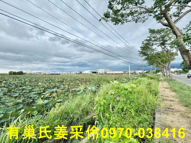 白河農地-10