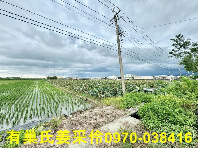 白河農地-12