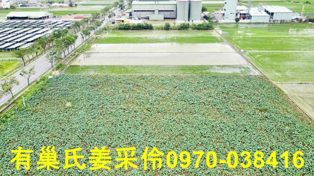 白河農地-14