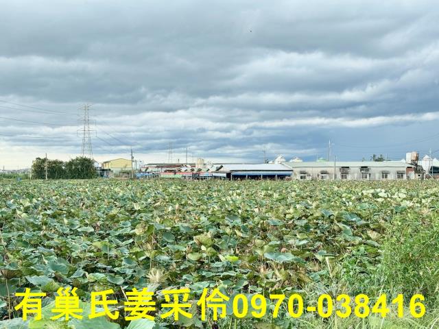 白河農地-7