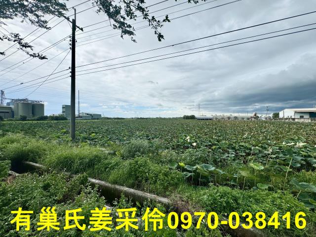 白河農地-8