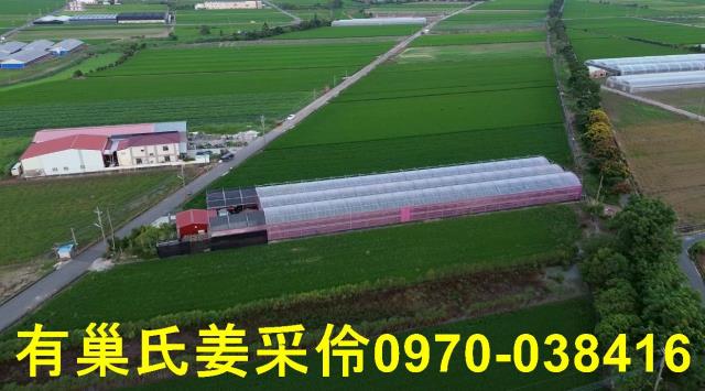 嘉義農地-9