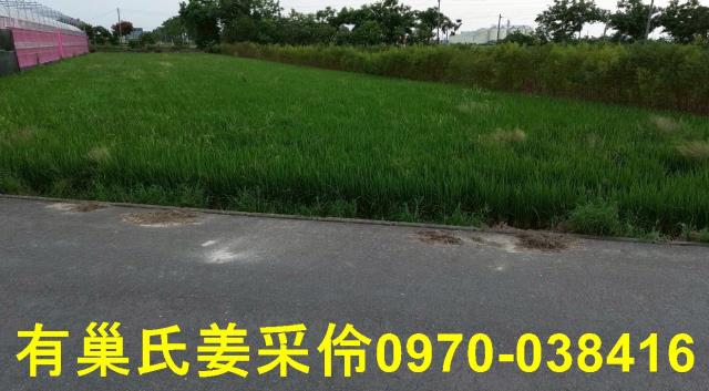 嘉義農地-10