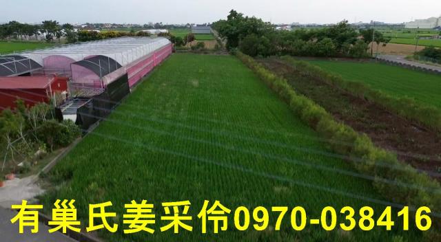 嘉義農地-0