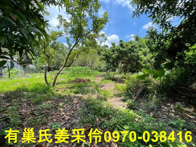 嘉義東區農地-0