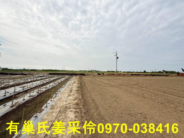 嘉義朴子農地-11