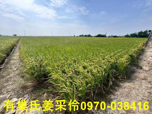 嘉義溪口農地-1