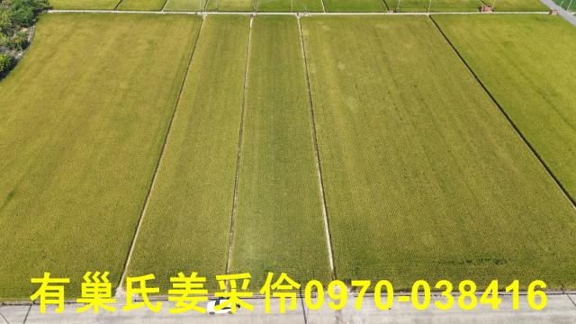 嘉義溪口農地-4