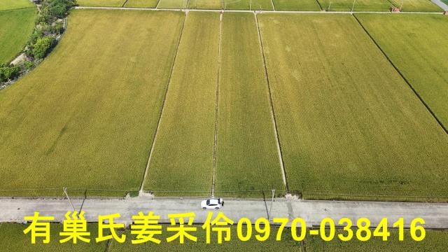 嘉義溪口農地-6