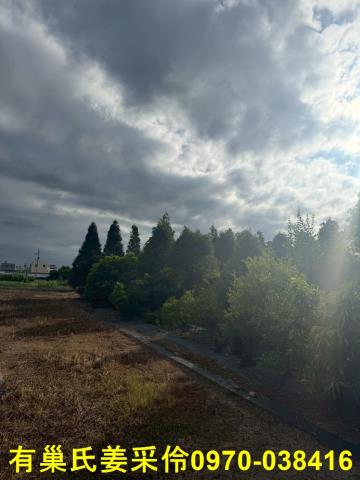 嘉義新港農地-2