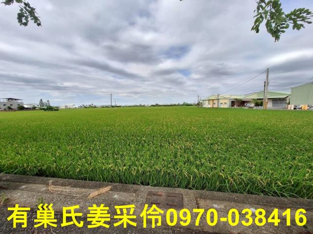 嘉義西區農地-12