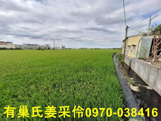 嘉義西區農地-6