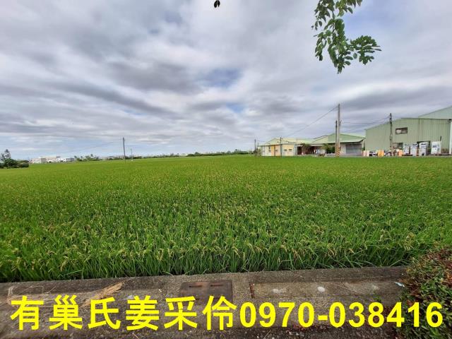 嘉義西區農地-8