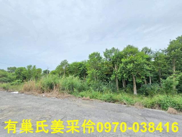 嘉義民雄農地-12