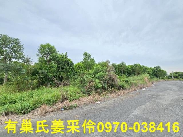 嘉義民雄農地-6