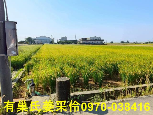 嘉義溪口農地-2