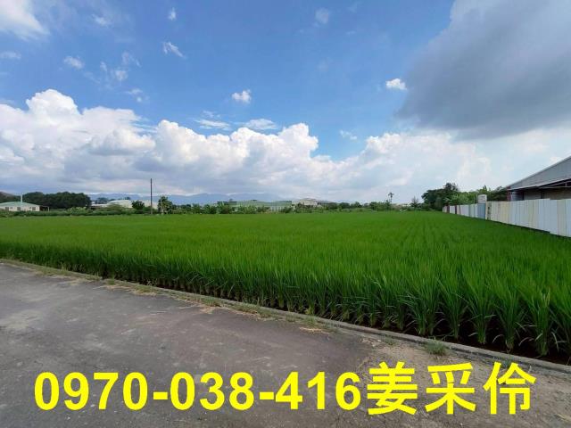 水上農地-0