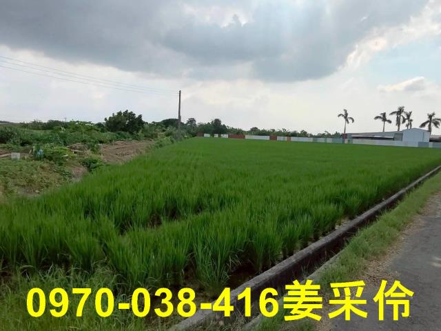 水上農地-2