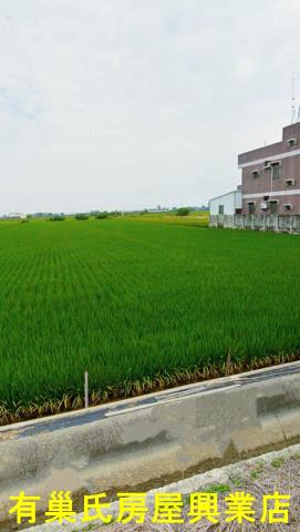 嘉義鹿草農地-1