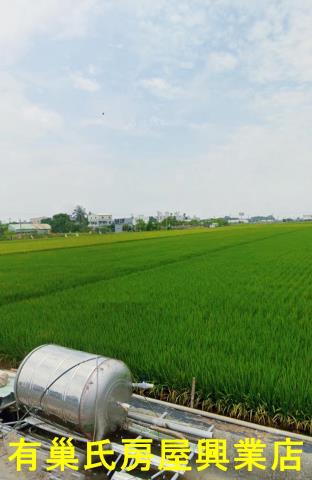 嘉義鹿草農地-3