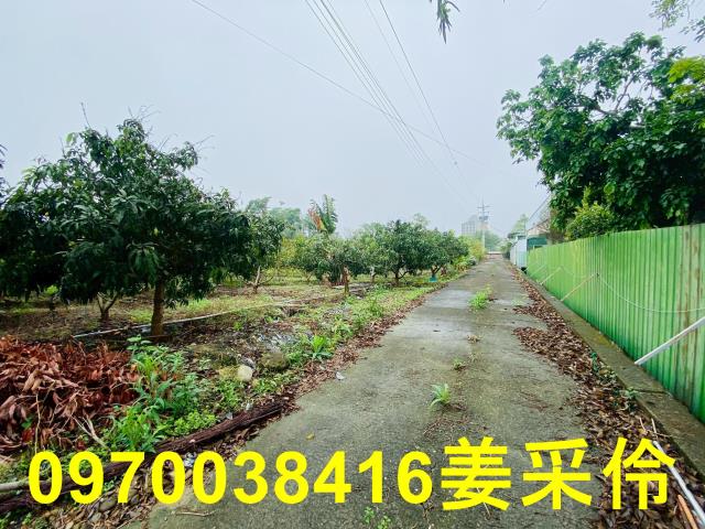 嘉義中埔農地-2